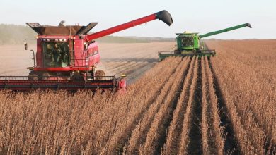 خودکفایی چین برای فناوری تا ۲۰۳۰ 24 رنامه خودکفایی چین تا سال ۲۰۳۰